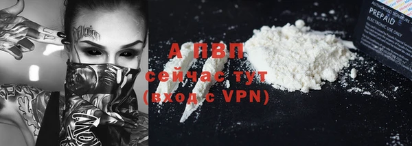 прущий лед Вяземский