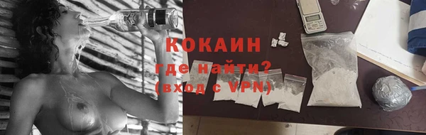 прущий лед Вяземский