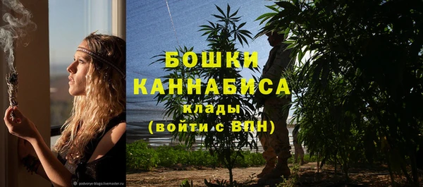 первитин Горняк