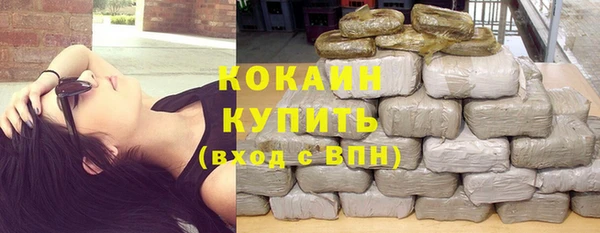 прущий лед Вяземский
