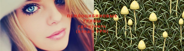 jwh Вязьма