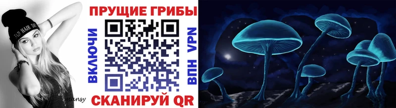 Псилоцибиновые грибы прущие грибы  Купить закладки  Азнакаево 